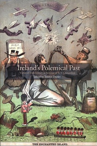 Ireland's Polemical Past: Views of Irish History in Honour of R.V. Comerford