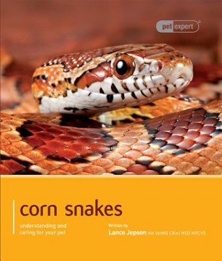 Corn Snake