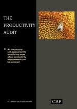 Productivity Audit
