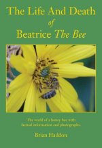 Life and Death of Beatrice the Bee