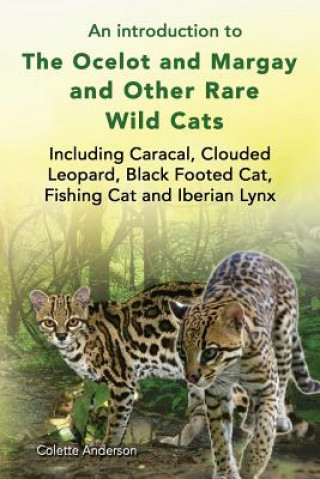 introduction to The Ocelot and Margay and Other Rare Wild Cats Including Caracal, Clouded Leopard, Black Footed Cat, Fishing Cat and Iberian Lynx