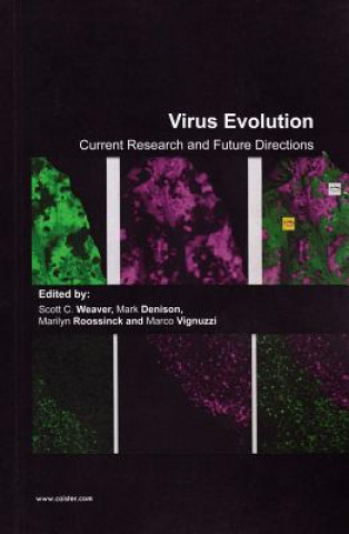 Virus Evolution
