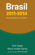 Brasil 2011-2014: Dos Proyectos en Conflicto