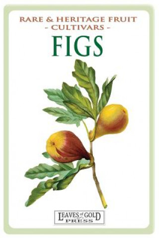 Figs (C Thornton)(Miękka)