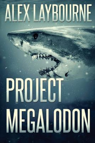 Poject Megalodon