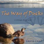 Way of Ducks