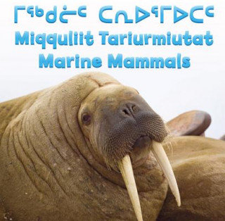 Marine Mammals