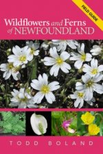 Wildflowers and Ferns of Newfoundland