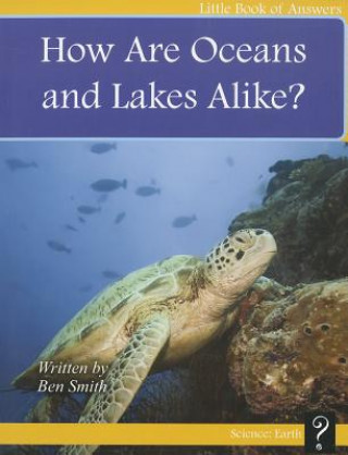 How Are Oceans and Lakes Alike?