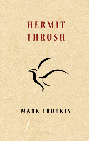 Hermit Thrush
