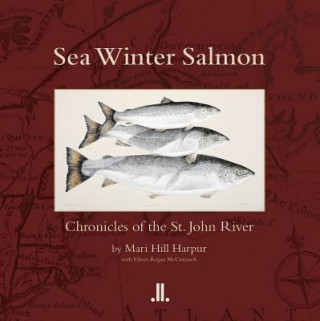 Sea Winter Salmon: Chronicles of the St. John River