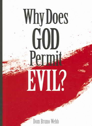 Why Does God Permit Evil?