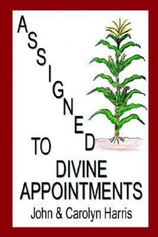 Assigned to Divine Appointments