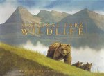 National Park Wildlife Note Card Set