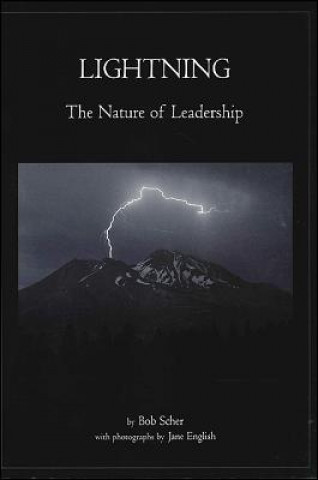 Lightning: The Nature of Leadership