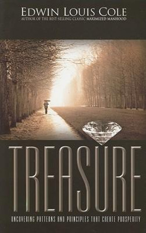 Treasure: Uncovering Patterns and Principles That Create Prosperity