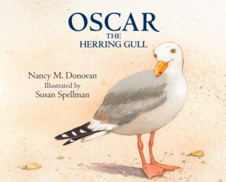 Oscar the Herring Gull