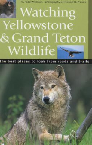 Watching Yellowstone & Grand Teton Wildlife