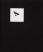 Pajaros