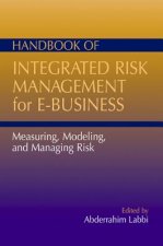 Handbook of Integrated Risk Management for E-Business