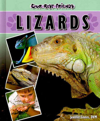 Lizards