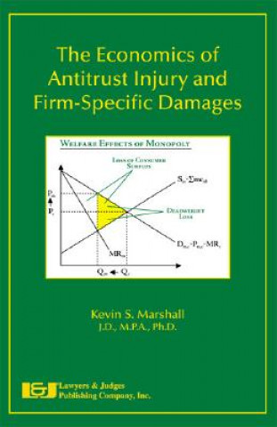 The Economics of Antitrust Injury and Firm-Specific Damages