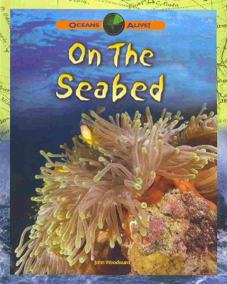 On the Seabed