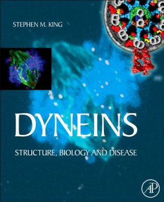 Dyneins