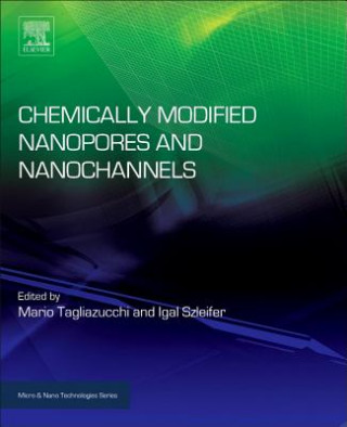 Chemically Modified Nanopores and Nanochannels