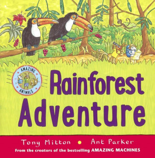 Rainforest Adventure