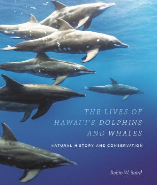 Lives of Hawai'i's Dolphins and Whales