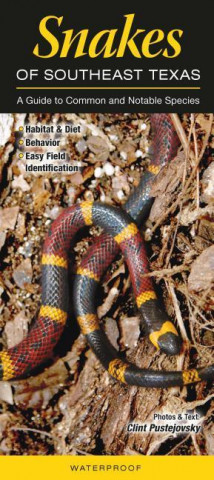 Snakes of Southeast Texas: A Guide to Common & Notable Species