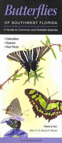 Butterflies of Southwest Florida: A Guide to Common & Notable Species