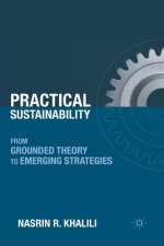 Practical Sustainability