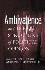 Ambivalence and the Structure of Political Opinion