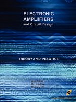 Electronic Amplifiers and Circuit Design (Analog Electronics Series)