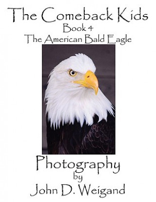 Comeback Kids, Book 4, The American Bald Eagle