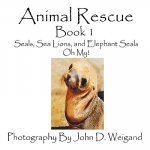 Animal Rescue, Book 1, Seals, Sea Lions And Elephant Seals, Oh My!