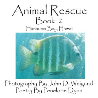 Animal Rescue, Book 2, Hanauma Bay, Hawaii