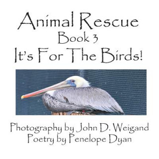 Animal Rescue, Book 3, It's For The Birds!