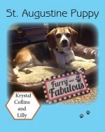 St. Augustine Puppy