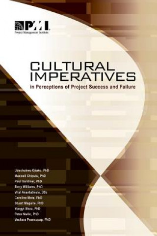 Cultural imperatives in perceptions of project success and failure