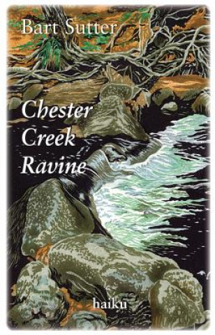 Chester Creek Ravine: Haiku