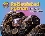 Reticulated Python: The World's Longest Snake