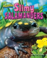 Slimy Salamanders