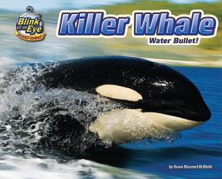 Killer Whale: Water Bullet!