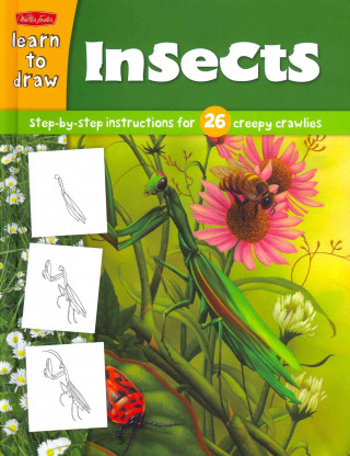 Learn to Draw Insects