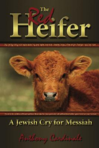 The Red Heifer: A Jewish Cry for Messiah