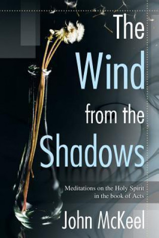 The Wind from the Shadows: Meditations on the Holy Spirit in the Book of Acts