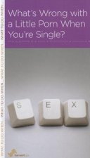 What's Wrong with a Little Porn When You're Single?: Na